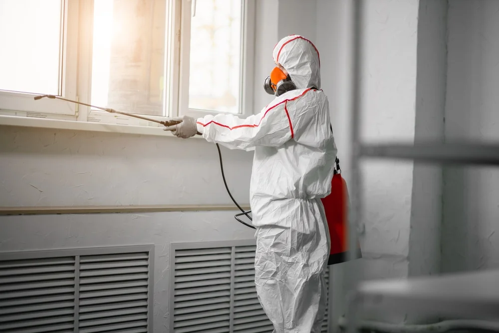 Professional mold remediation services in Errol, NH